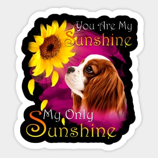 Cavalier King Charles Spaniel You Are My Sunshine Sticker